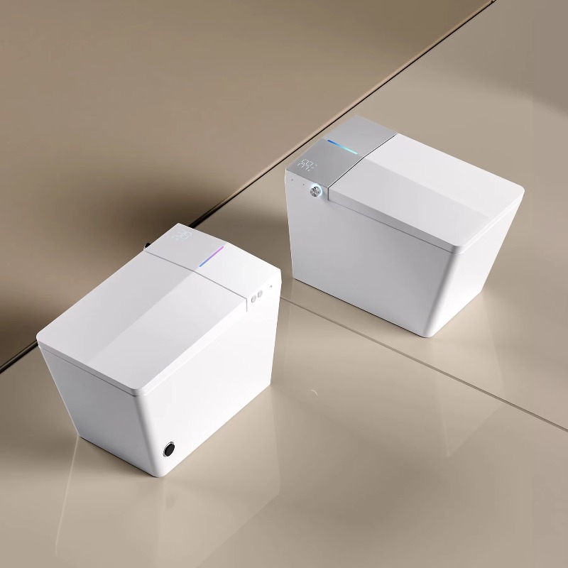 Smart Wc Toilet Smart Toilet S - P & C Home Textiles Usa 评论和价格