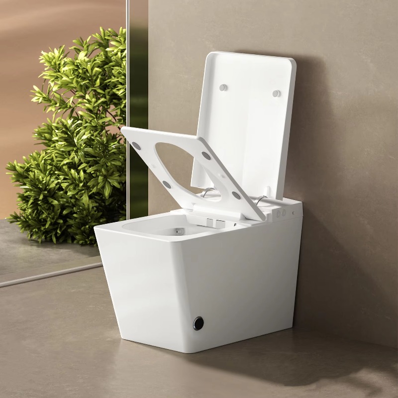 Smart Wc Toilet Smart Toilet S - P & C Home Textiles Usa 评论和价格