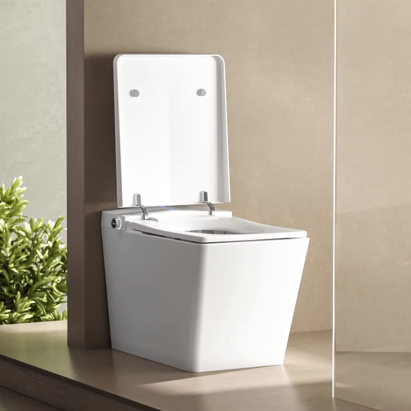 Smart Wc Toilet Smart Toilet S - P & C Home Textiles Usa 评论和价格