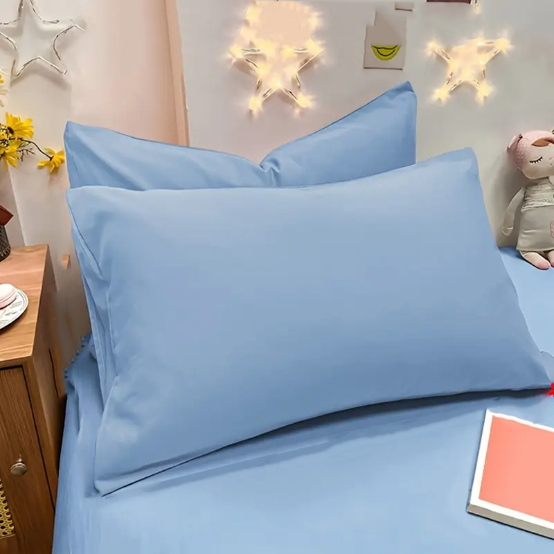 2pcs Brushed Pillowcase, Soft  - Pillow Cover 20X20 评论和价格