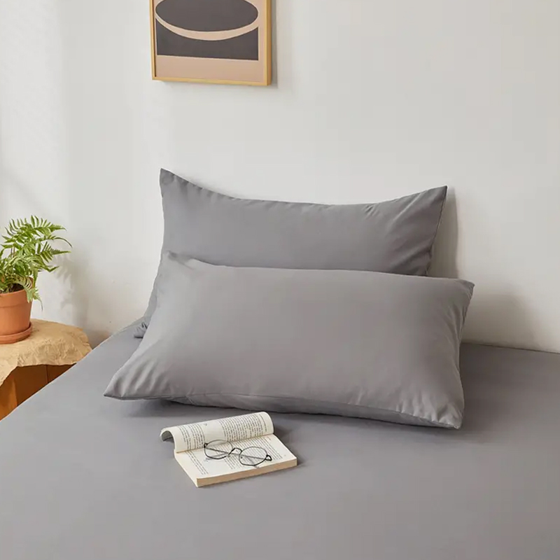 2pcs Brushed Pillowcase, Soft  - Pillow Cover 20X20 评论和价格